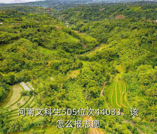 河南文科生505位次44033，該怎么報志愿