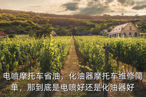 成都哪里有修電噴摩托車的,電噴摩托車的普及