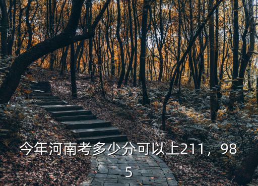 今年河南考多少分可以上211，985