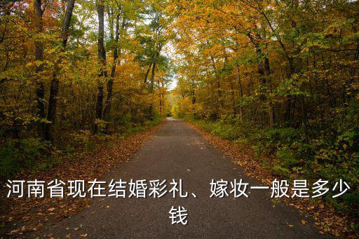 河南省平輿縣彩禮錢目前多少,河南南陽彩禮多少錢