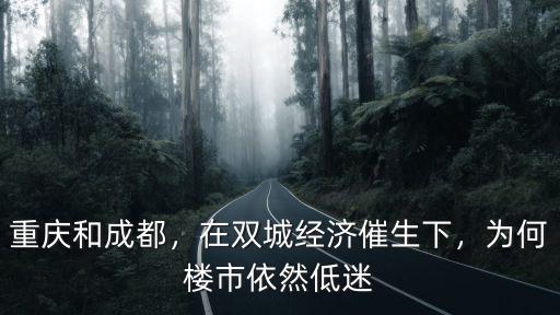 重慶和成都，在雙城經濟催生下，為何樓市依然低迷