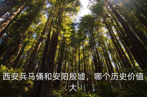 安陽(yáng)殷墟多少年歷史,西安兵馬俑和安陽(yáng)殷墟