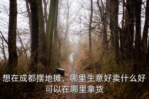 想在成都擺地攤，哪里生意好賣什么好可以在哪里拿貨