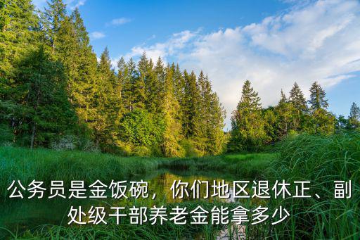 河南省副處級干部領多少工資,副處級干部養老金能拿多少