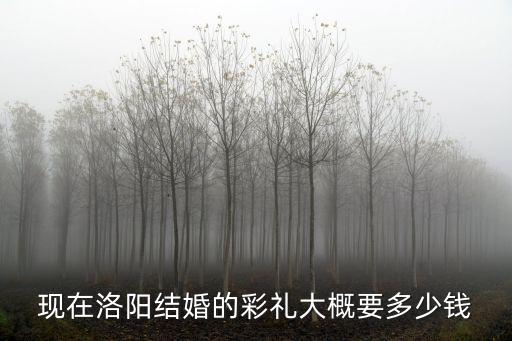現(xiàn)在洛陽結(jié)婚的彩禮大概要多少錢