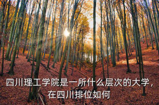 四川理工學院是一所什么層次的大學，在四川排位如何