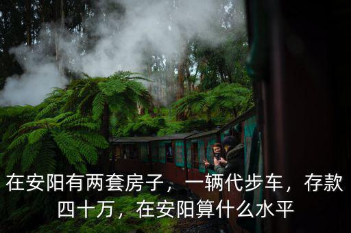 在安陽有兩套房子，一輛代步車，存款四十萬，在安陽算什么水平