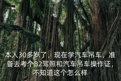 成都吊車操作證在哪里學,現(xiàn)在學汽車吊車