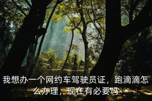 我想辦一個網約車駕駛員證，跑滴滴怎么辦理，現在有必要嗎