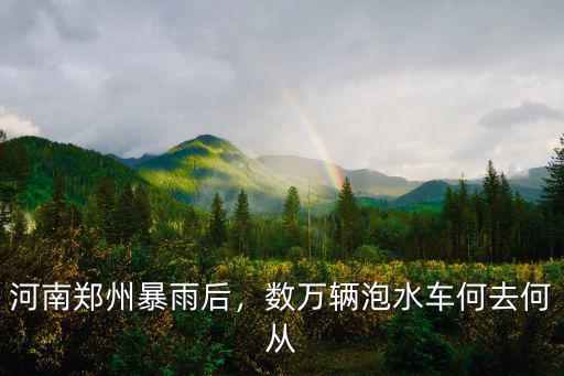 鄭州暴雨汽車損害了怎么辦,河南鄭州暴雨后