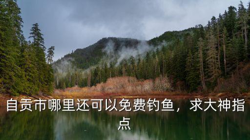 自貢哪里釣魚比較好,去上海哪里釣魚比較好