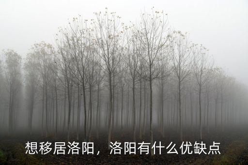 想移居洛陽，洛陽有什么優缺點