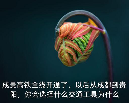 成貴高鐵全線開通了，以后從成都到貴陽，你會選擇什么交通工具為什么