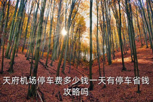 成都天府機場附近哪里可以停車,成都天府機場停車場怎么收費