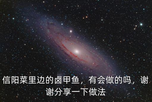 信陽甲魚怎么做好吃,甲魚怎么做好吃