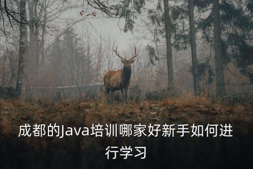 成都哪里學習java好,成都的Java培訓哪家好