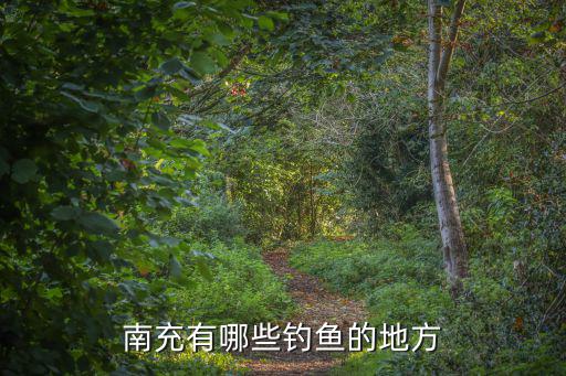 南充哪里有可以釣魚的,南充有什么必去的景點