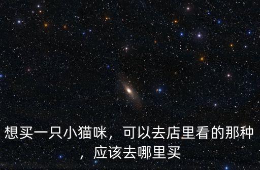 想買貓去哪里買駐馬店,應該去哪里買