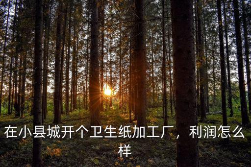 在小縣城開個衛(wèi)生紙加工廠，利潤怎么樣
