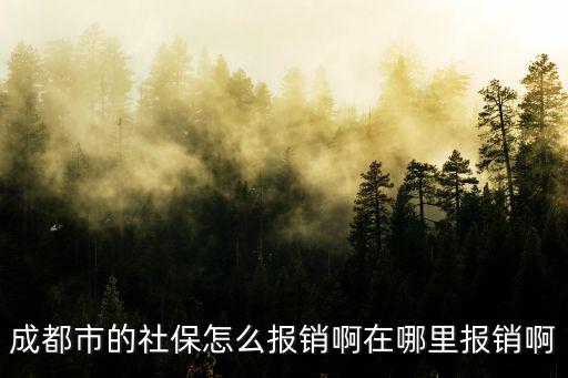 成都有獻血證在哪里報銷,在哪里報銷啊