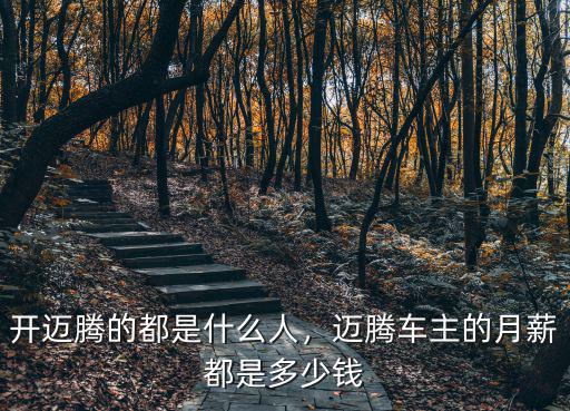 開邁騰的都是什么人，邁騰車主的月薪都是多少錢