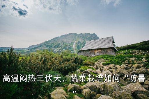高溫悶熱三伏天，蔬菜栽培如何“防暑”