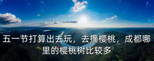 五一節打算出去玩，去摘櫻桃，成都哪里的櫻桃樹比較多
