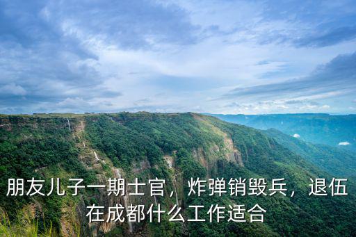 朋友兒子一期士官，炸彈銷毀兵，退伍在成都什么工作適合