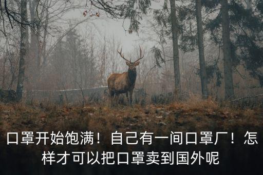 周口哪里有賣(mài)口罩廠,自己有一間口罩廠