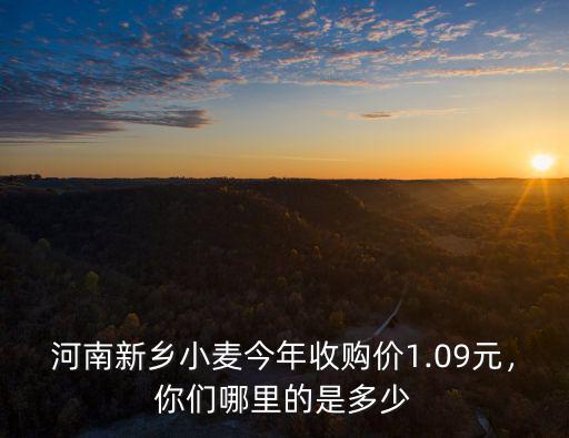 當前河南小麥收購價是多少錢,河南的小麥大概是多少錢一斤