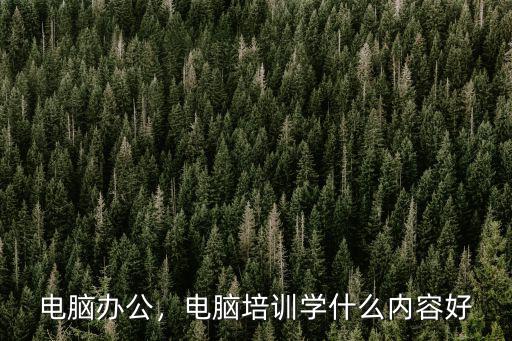 綿陽哪里有學(xué)電腦辦公,學(xué)習(xí)電腦辦公