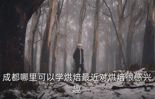 成都哪里可以學(xué)烘培呀,成都哪里可以學(xué)烘焙