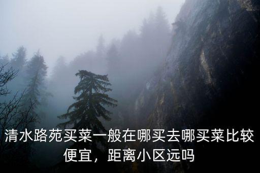 成都龍陽哪里買菜最便宜,成都什么地方批發的蔬菜便宜