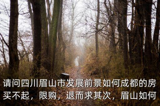 請(qǐng)問四川眉山市發(fā)展前景如何成都的房買不起，限購，退而求其次，眉山如何
