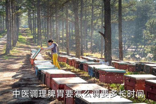 南充哪里有調理脾胃的好中醫,中醫調理脾胃要怎么調