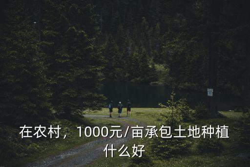 在農村，1000元/畝承包土地種植什么好