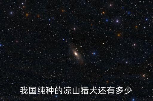 我國純種的涼山獵犬還有多少
