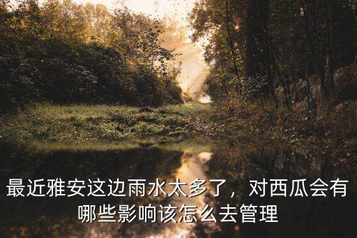 雅安哪里有種西瓜的,黃皮紅心西瓜種哪里有