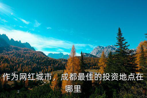 成都網紅聚集地在哪里,成都最佳的投資地點在哪里