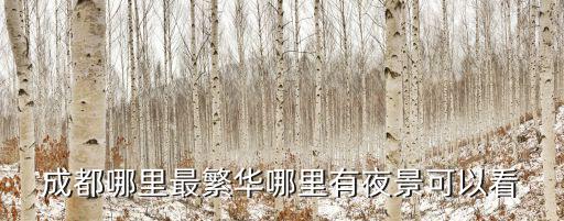 成都哪里夜景最亮,成都哪里的夜景最漂亮