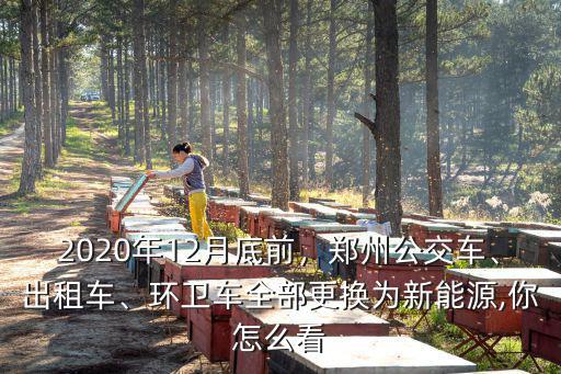 鄭州市榮威新能源出租車怎么樣,新能源出租車怎么樣