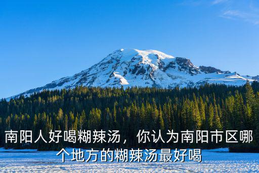 南陽人好喝糊辣湯，你認為南陽市區哪個地方的糊辣湯最好喝