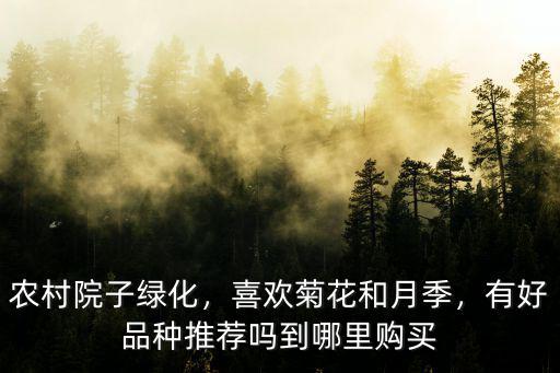 南陽哪里的菊花好,南陽哪里有賞花好去處
