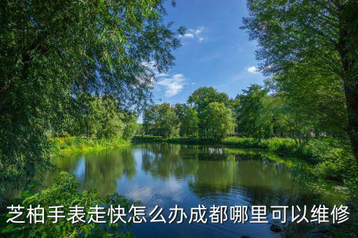 成都哪里可以清洗手表,芝柏手表走快怎么辦