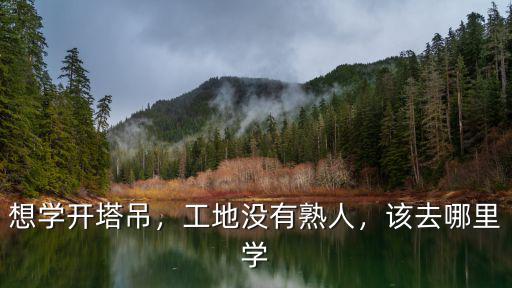 攀枝花哪里可以學開塔吊,哪里有學開塔吊的