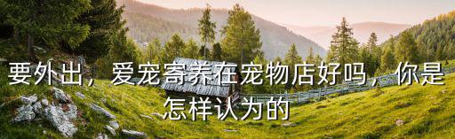 成都哪里寵物寄養好,我是做寵物家庭寄養的