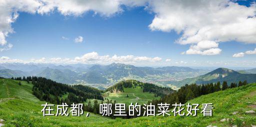 成都周邊哪里油菜花好拍,成都周邊賞花去哪里好