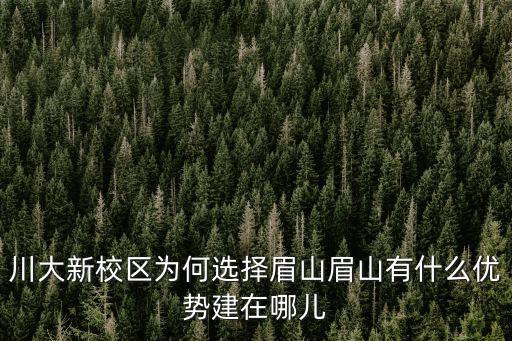 川大眉山校區修在哪里啦,川大新校區為何選擇眉山