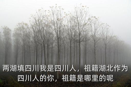 兩湖填四川我是四川人，祖籍湖北作為四川人的你，祖籍是哪里的呢
