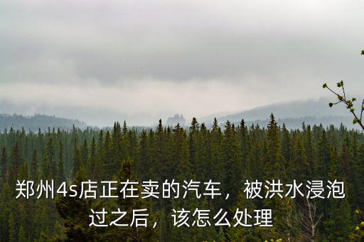 鄭州4s店正在賣的汽車，被洪水浸泡過之后，該怎么處理